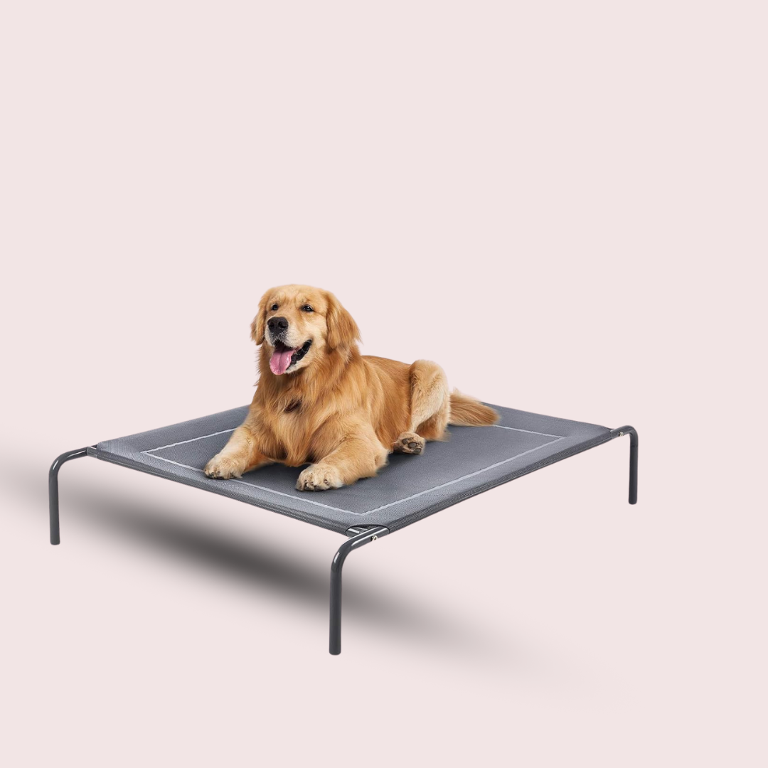 Outdoor dog cot best sale