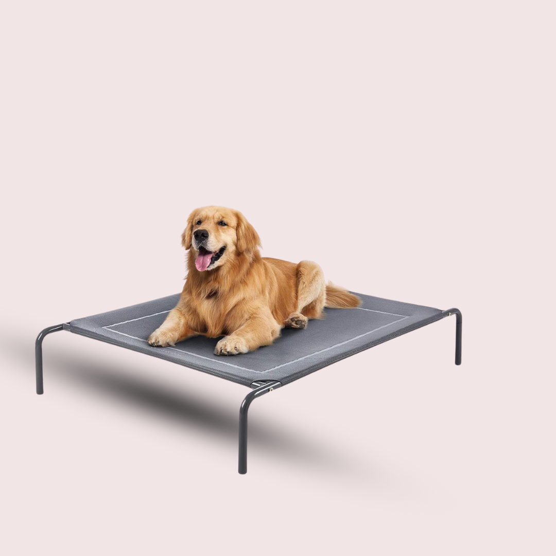 Dog Cooling Bed Dog Bed Cooling Pad For Dogs Large Dog Bed