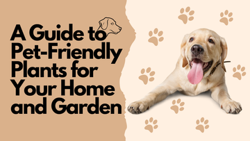A Guide to Cat And Dog Plants for Your Home and Garden