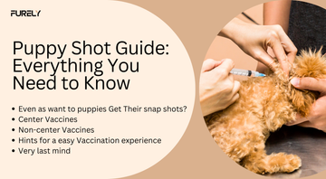 Puppy Shot Guide: Everything You Need to Know