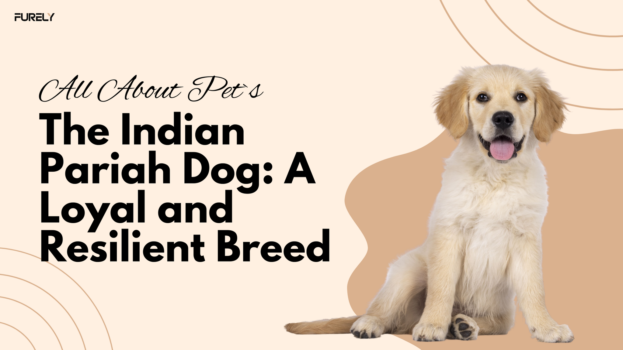 The Indian Pariah Dog: A Loyal and Resilient Breed