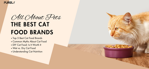 Cat Food 
