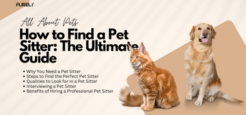 How to Find a Pet Sitter