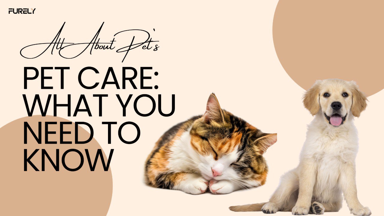 Pet Care: What You Should Know