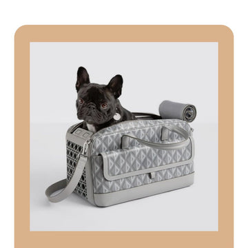 Travel With Pet carrier