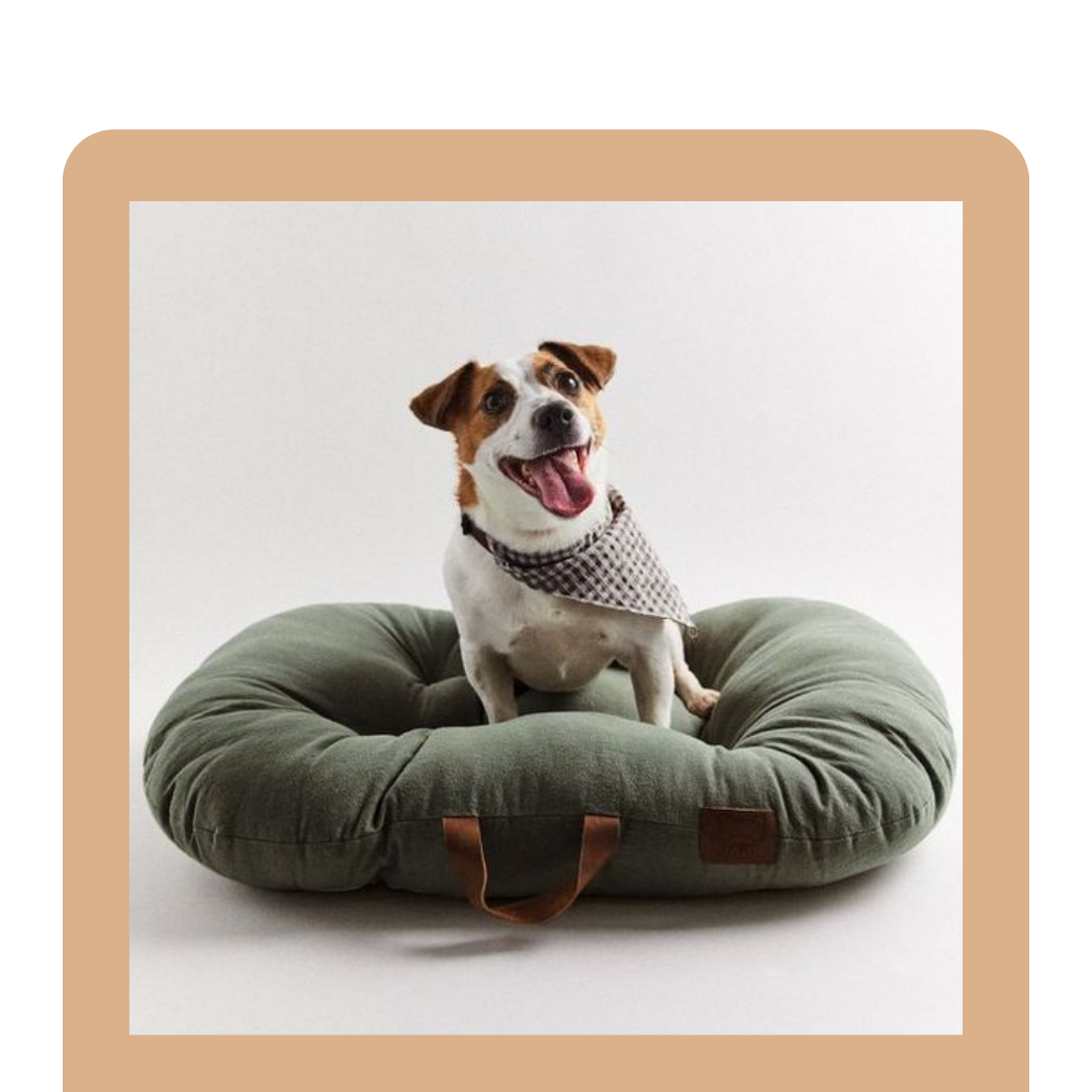 Pet Bed Collection