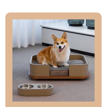 Dog Wooden Bed