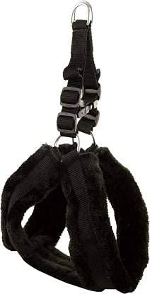 Dog Harness And Leash