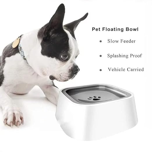 Water Feeder For Dogs