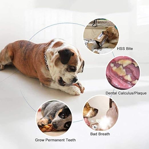 Nylon Durable Molar Teeth Cleaning Dog Chew Toy - furely