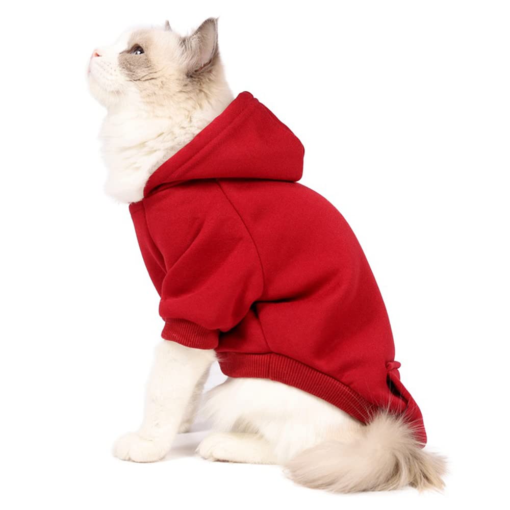 Dog Hoodie