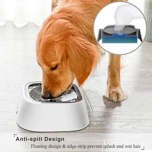 Water Feeder For Dogs