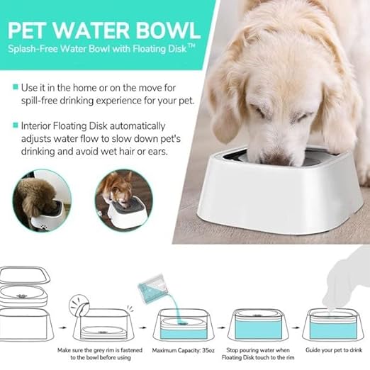 Water Feeder For Dogs