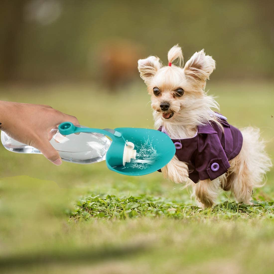  Dog Water Bottle