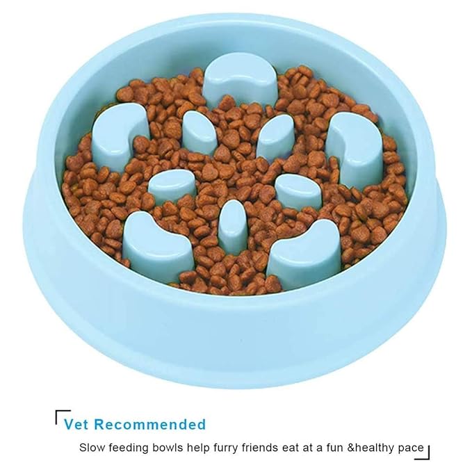 Slow Feeder Dog Bowl For Slow Down Pet Eating Food - furely