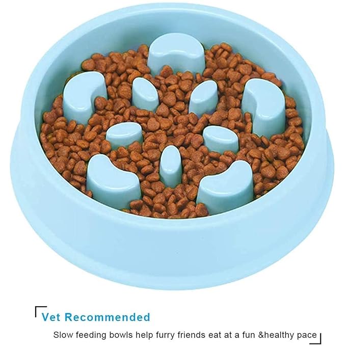 Slow Feeder Dog Bowl For Slow Down Pet Eating Food - furely