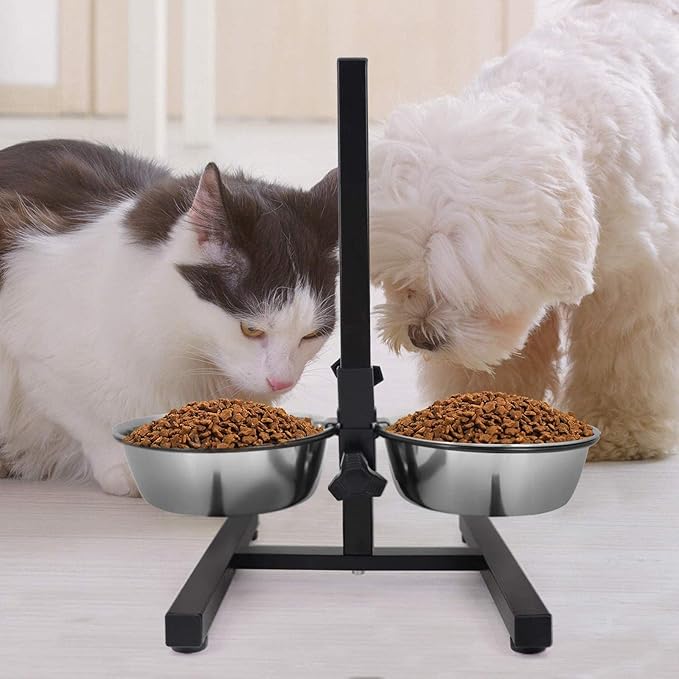  Dog Bowls With Stand