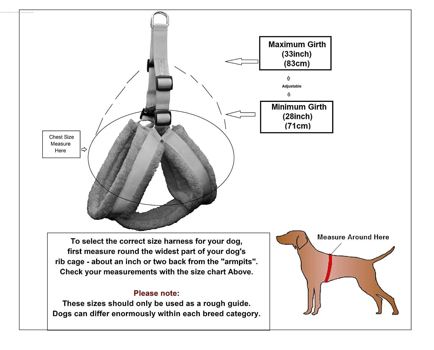 Dog Harness And Leash