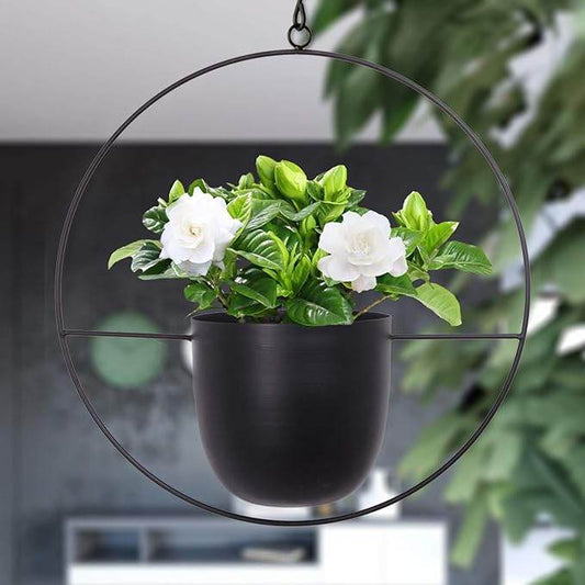 Modern Round Hanging Metal Planter with Pot – Customizable Color & Size