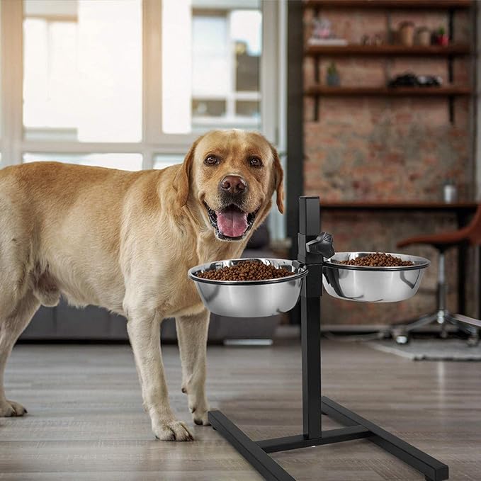  Dog Bowls With Stand