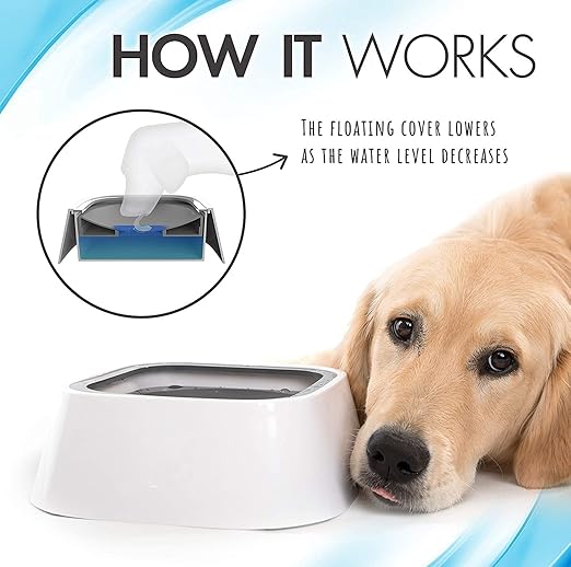 Water Feeder For Dogs