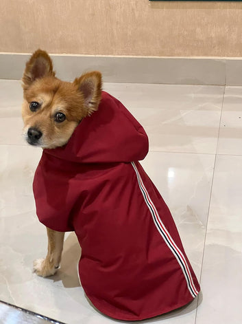 Dog Raincoat Suitable For Rainy Days