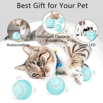 Automatic Moving Rolling Ball for Indoor Cats