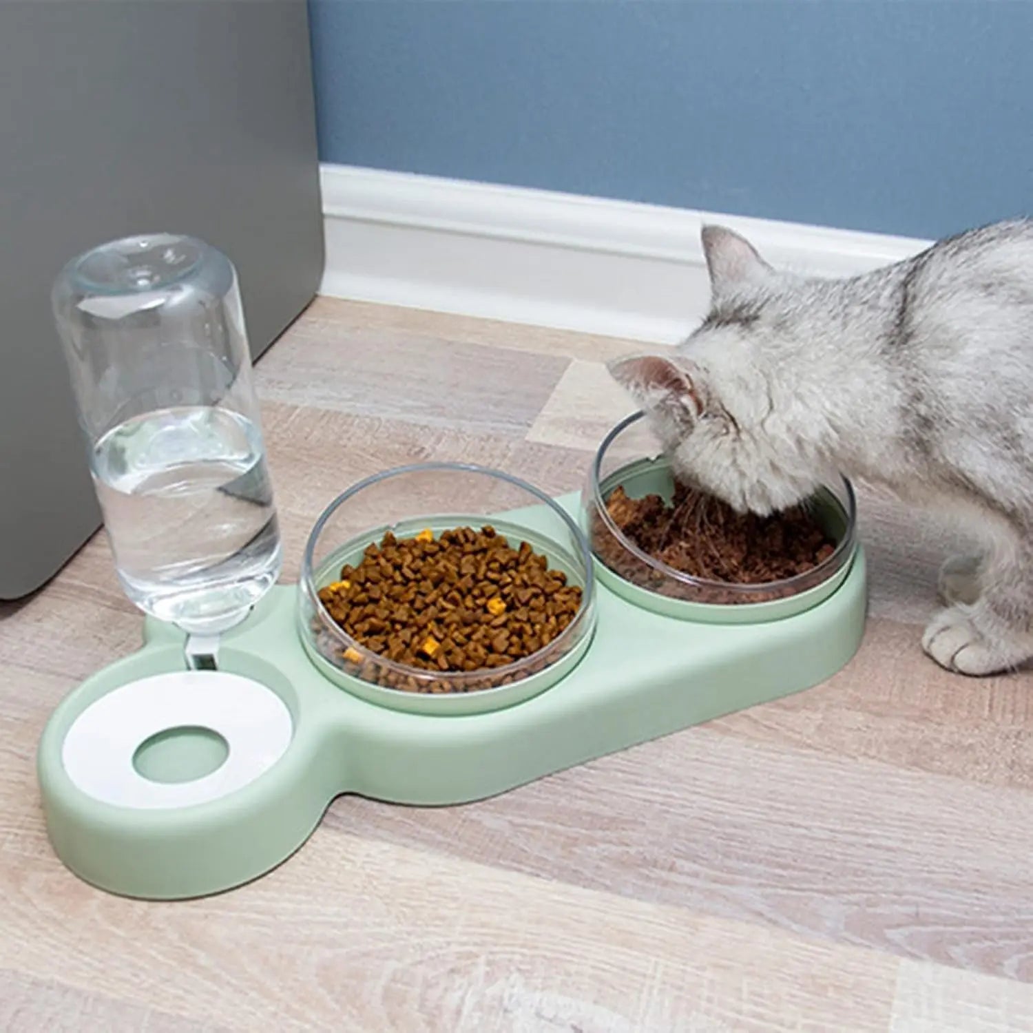 Automatic Cat Feeder 