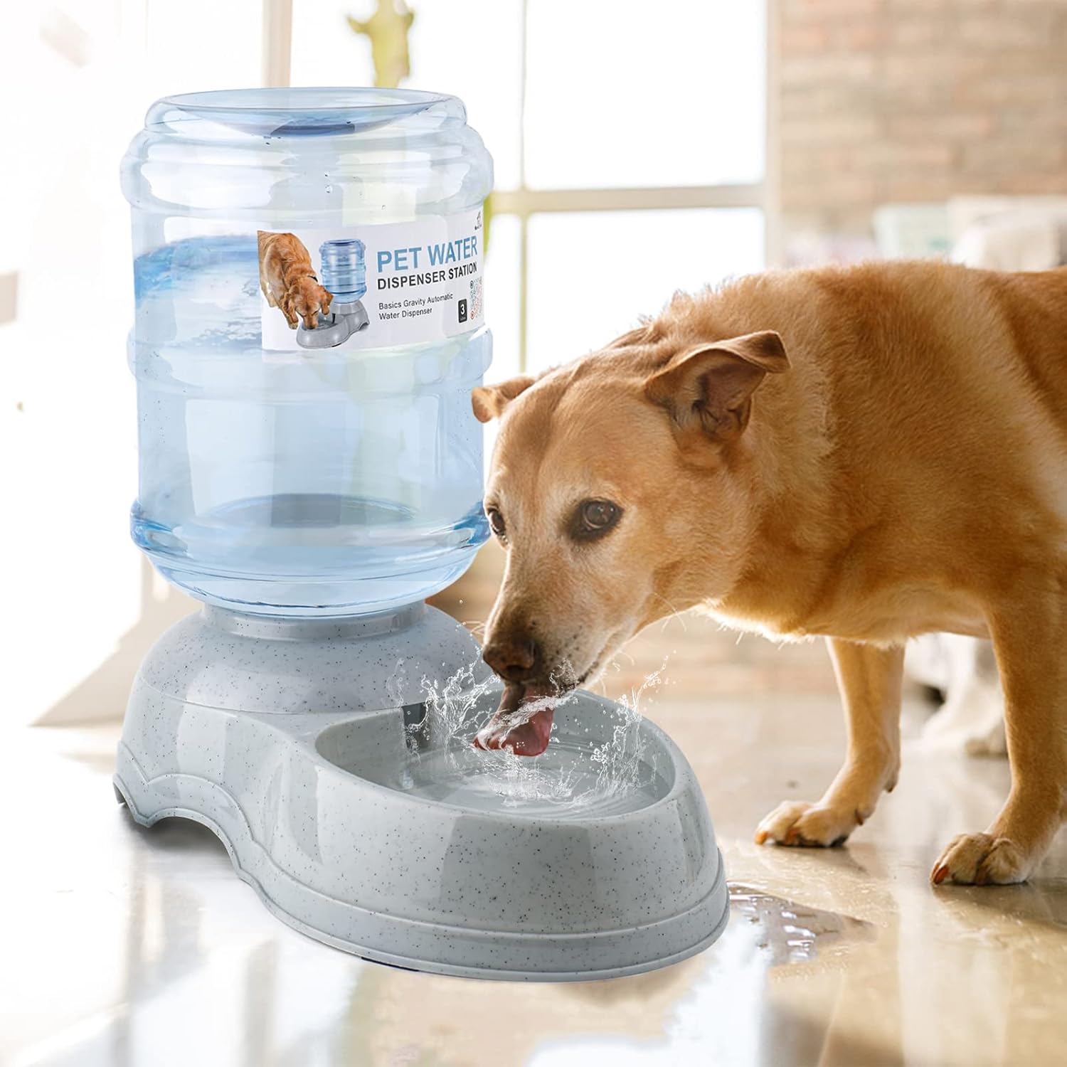  Dog Water Dispensers