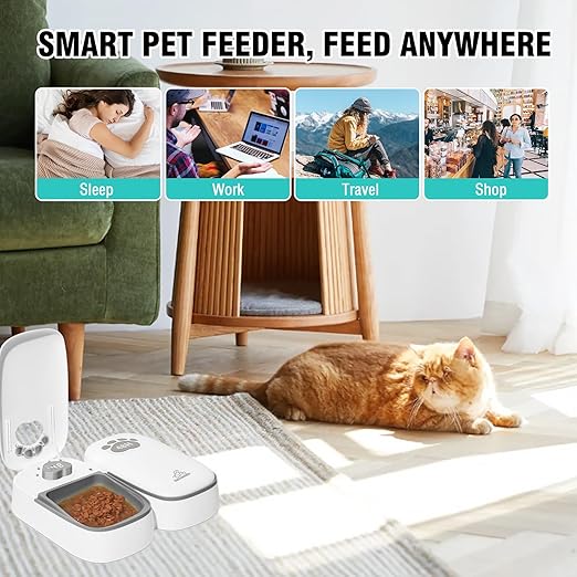 Automatic Cats Feeder