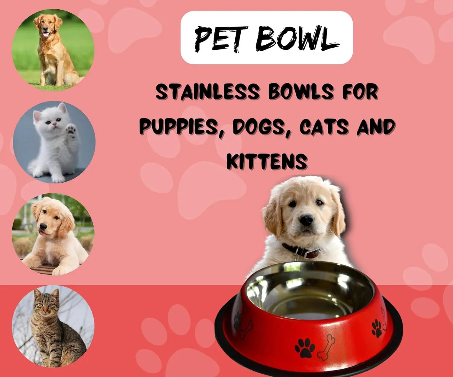 Bowl For Cats