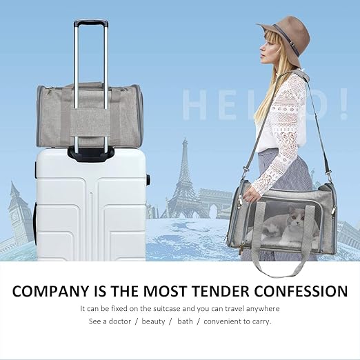 Puppy Carrier Bag For Your Travel - furely