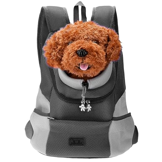 Dog Backpack Carriers for Small Dogs & Cats - furely