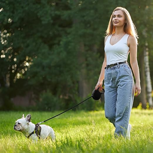 retractable dog Leash