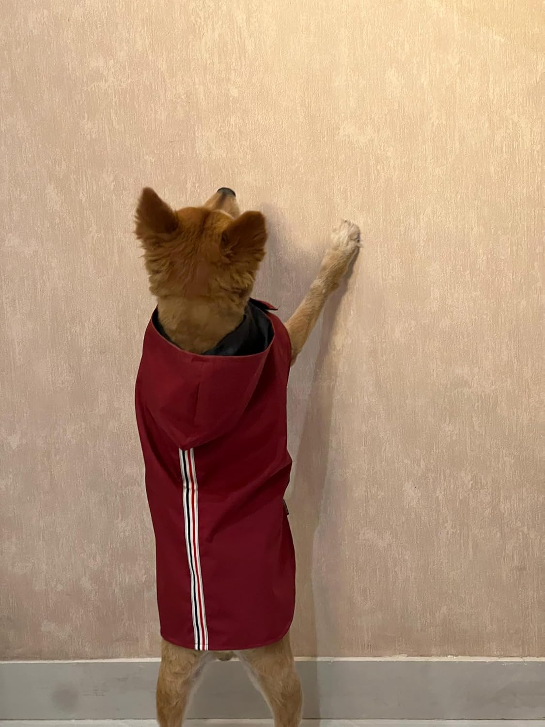 Dog Raincoat