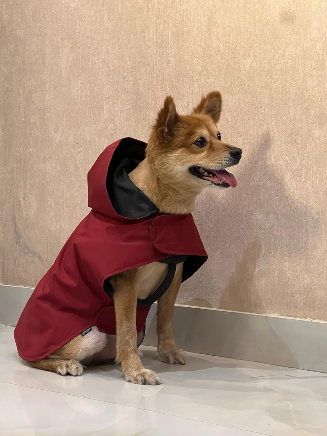 Dog Raincoat