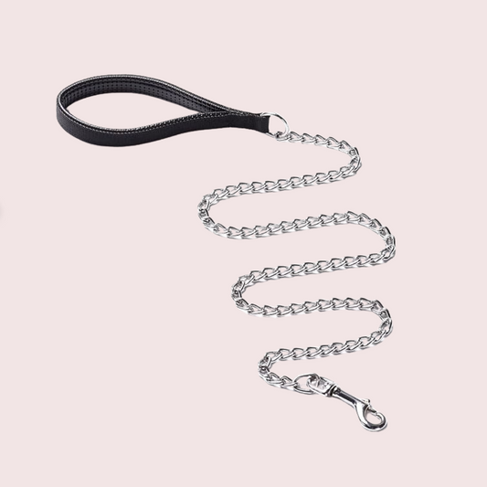 Metal Dog Chain For Neck with Padded Handle