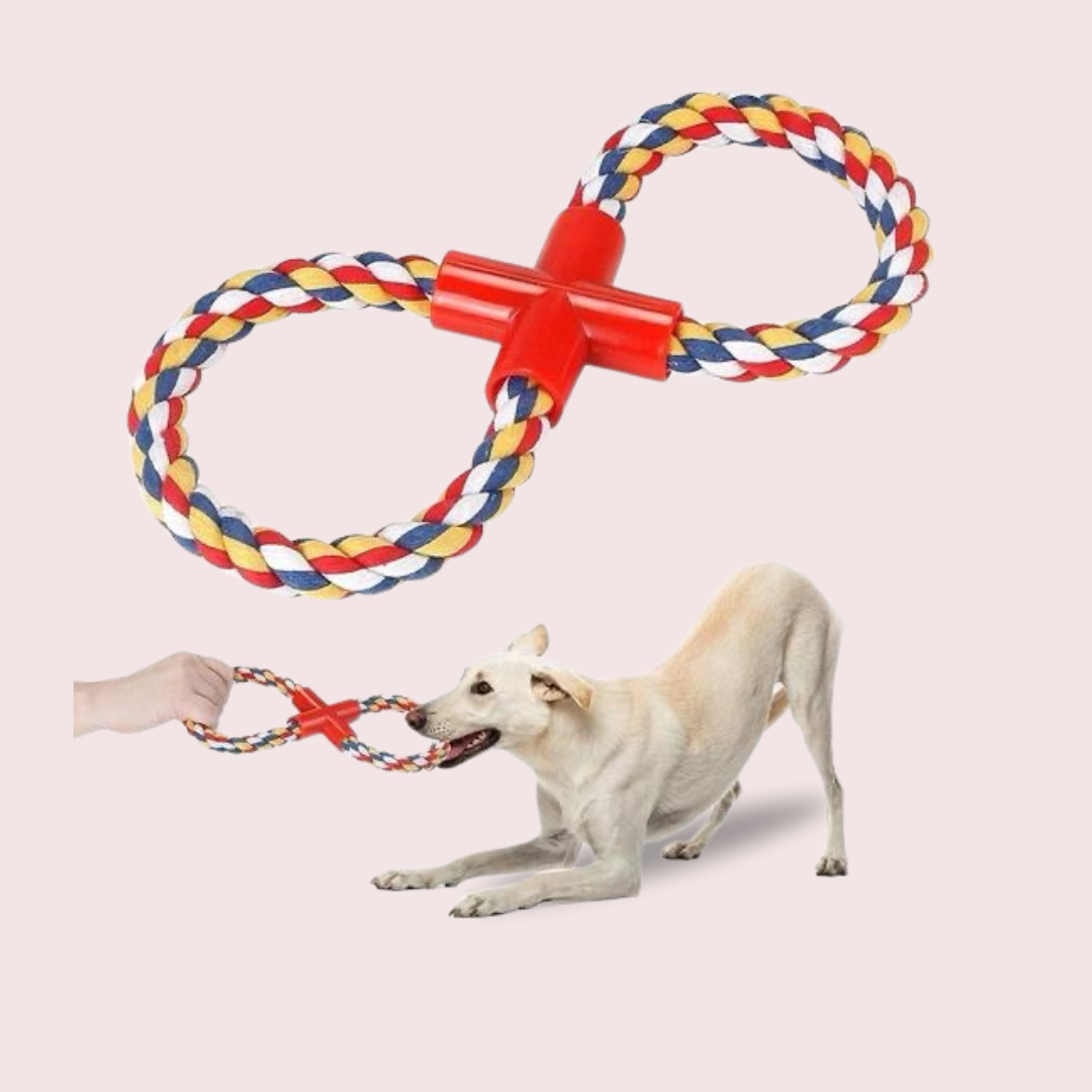  Dog Teething Toys