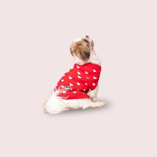 Red Heart Dog Sweater for Winter Wear