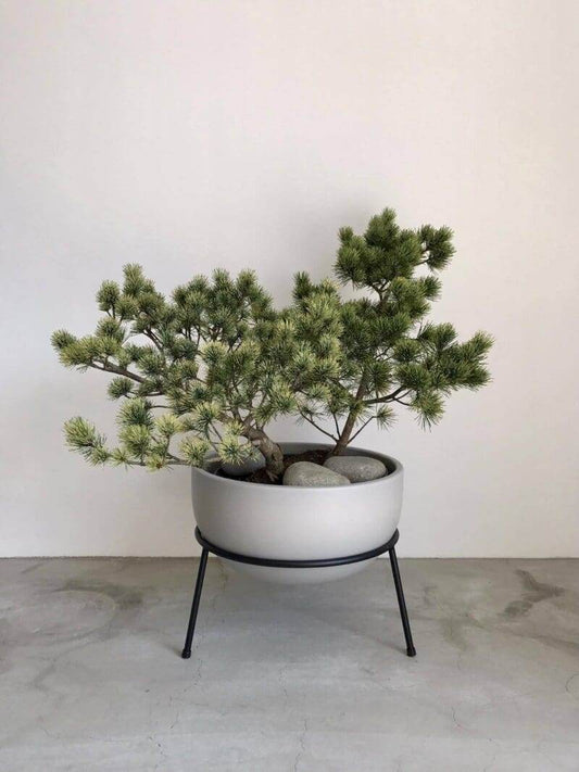 Minimalist Ceramic Planter with Iron Stand – Modern Indoor Pot (Custom Colors & Sizes)