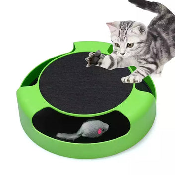 Circular Turntable Toy with Colorful Balls for Cats & Kitten