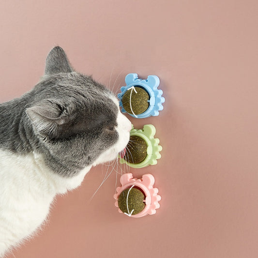 Durable Catnip Ball Toy for Indoor Cat