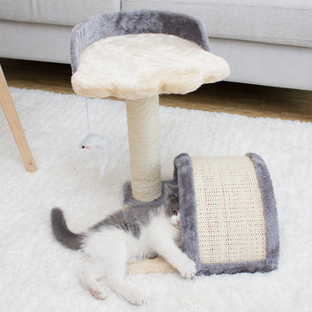 Cat Scratching Post + Catnip