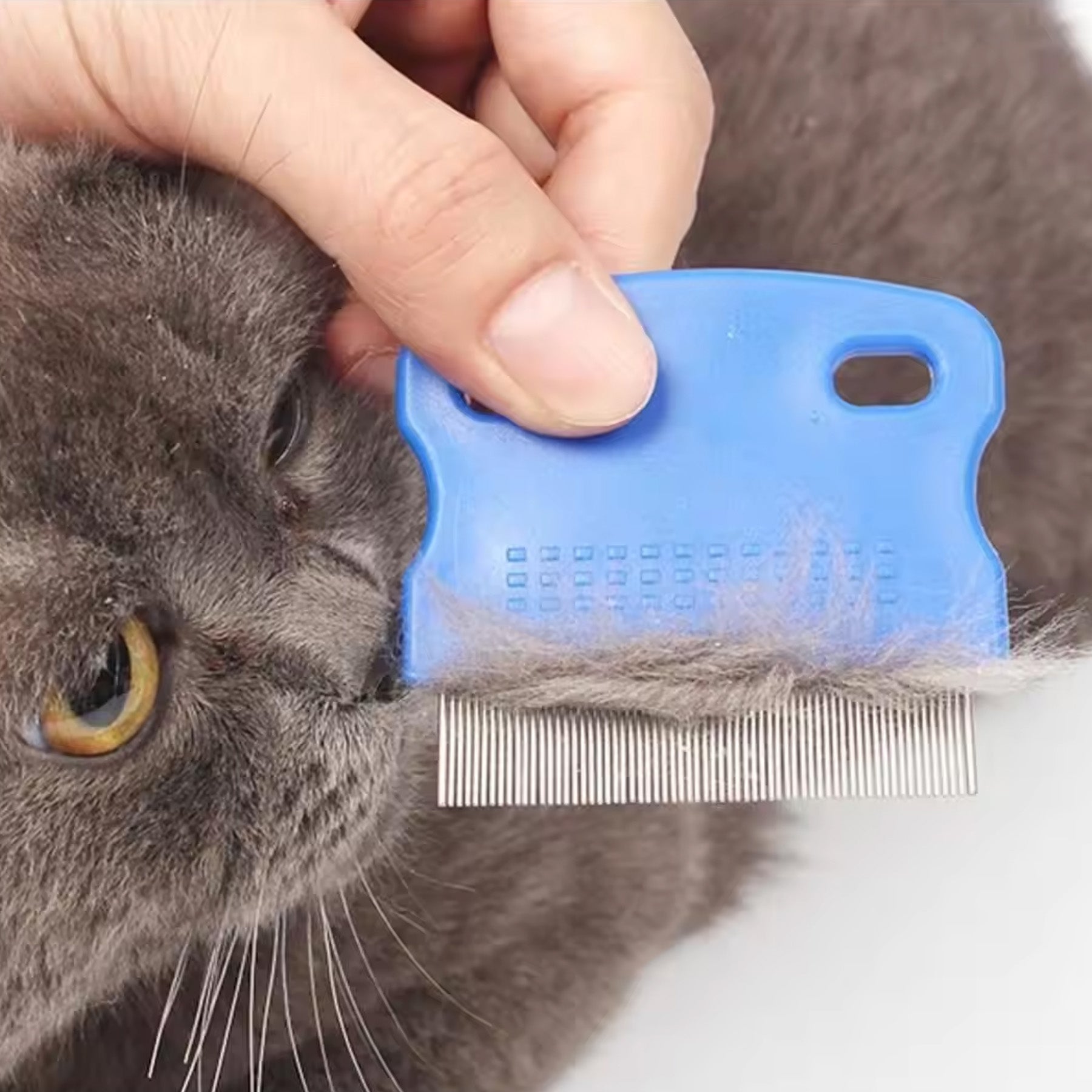 Head lice comb fo pets hair