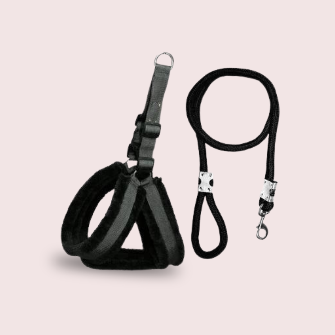 Dog Harness And Leash