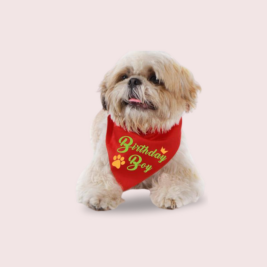 This is Cat & Dog Bandana Collar (Red)