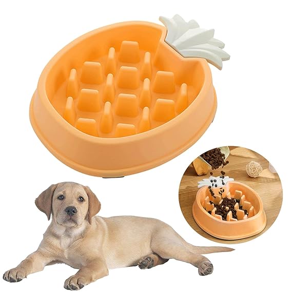  Dog Slow Feeder