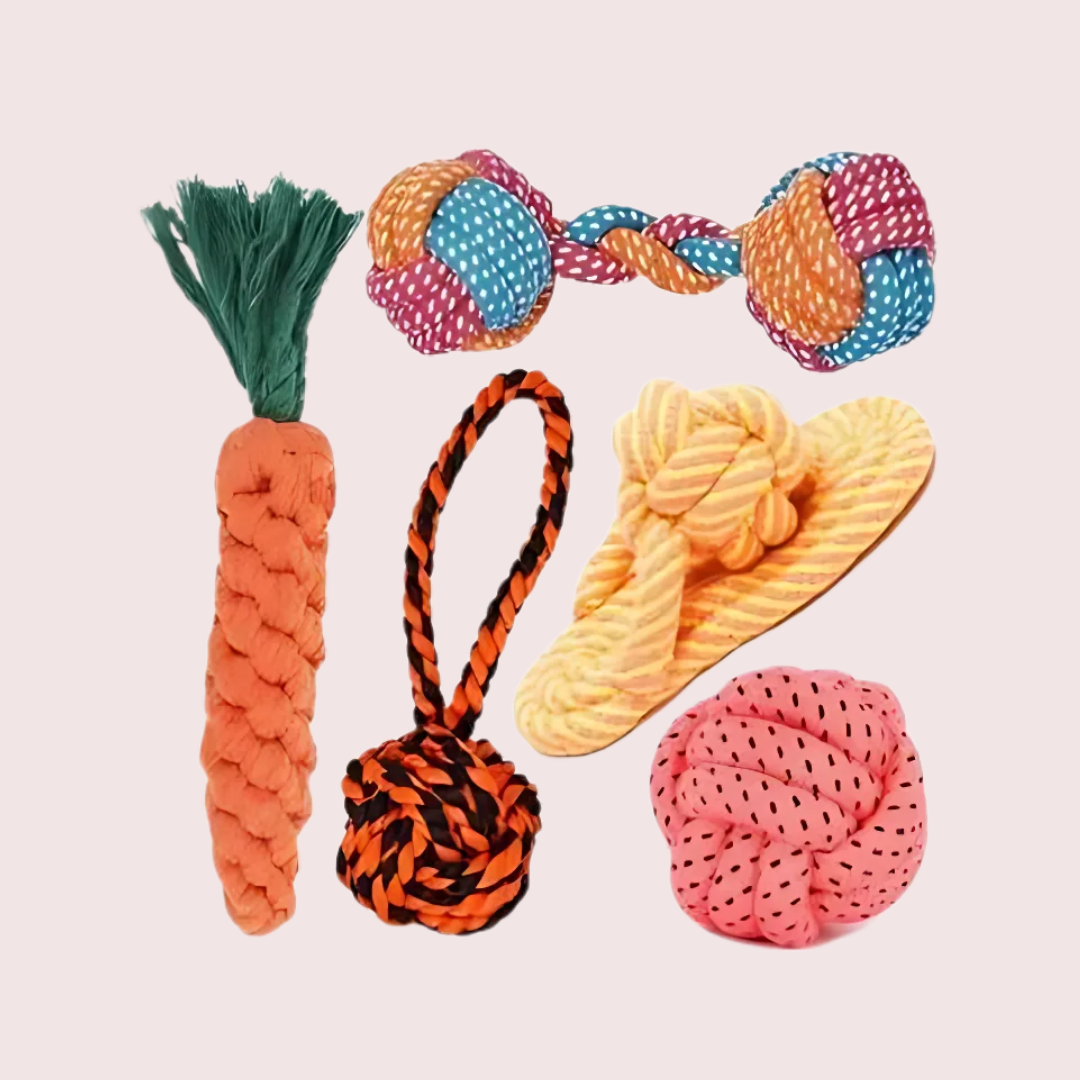 Small Dog Toys