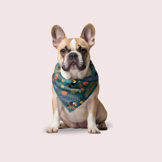 Dogs Bandana Collar is Perfect for Pet Style