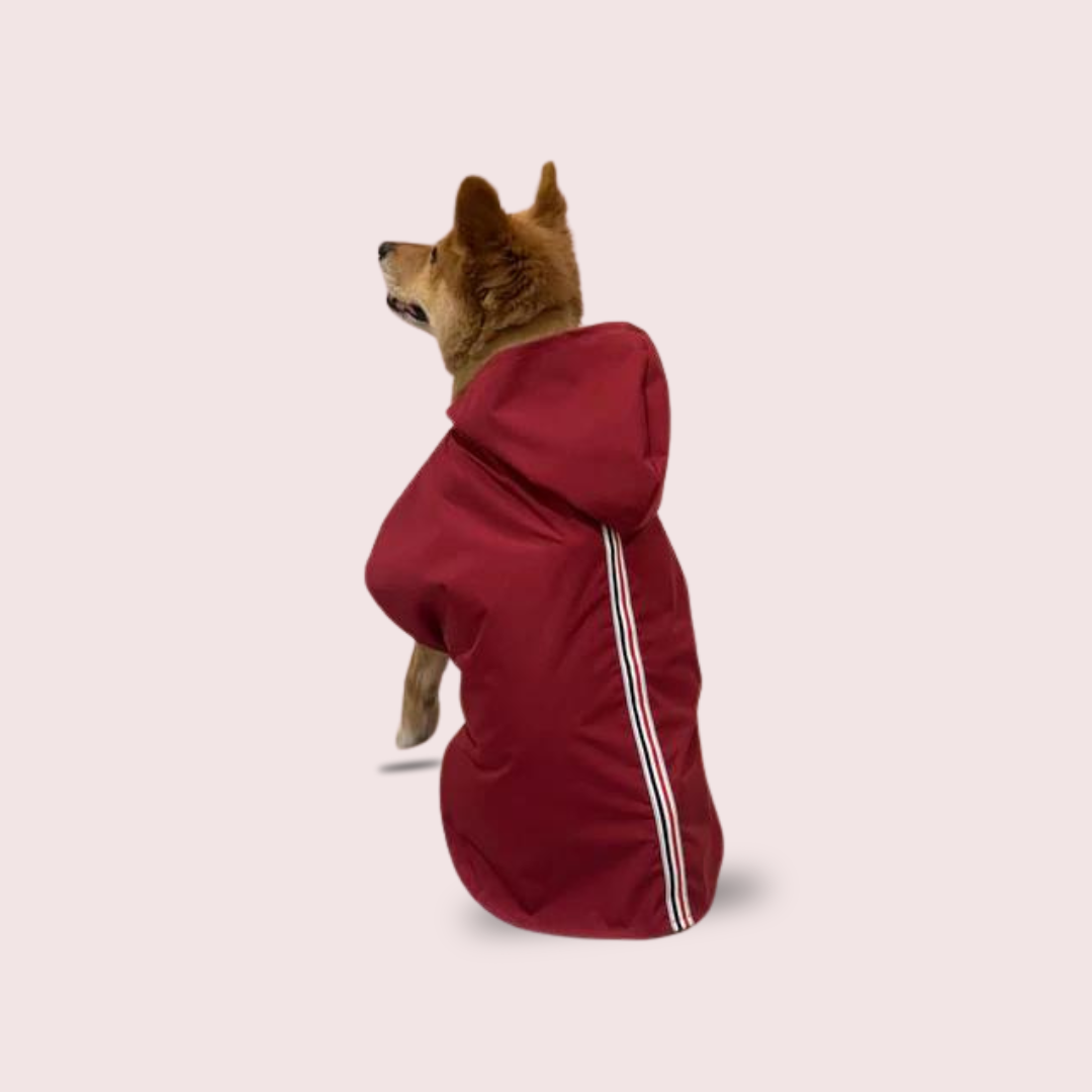 Dog Raincoat